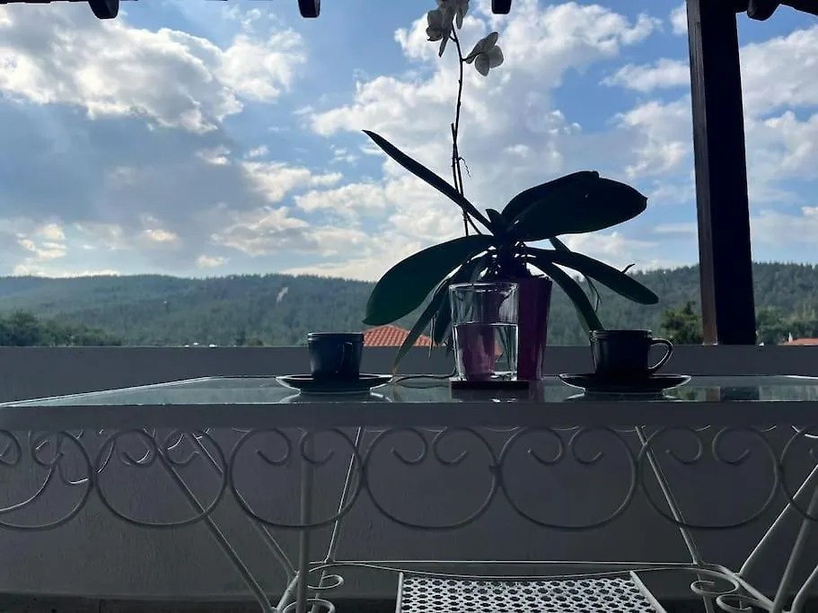 דירות סלוניקי Attic With A View